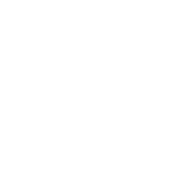 IPS Integrated Project Services